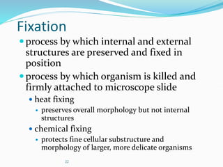 22
Fixation
process by which internal and external
structures are preserved and fixed in
position
process by which organism is killed and
firmly attached to microscope slide
 heat fixing
 preserves overall morphology but not internal
structures
 chemical fixing
 protects fine cellular substructure and
morphology of larger, more delicate organisms
 