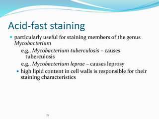 28
Acid-fast staining
 particularly useful for staining members of the genus
Mycobacterium
e.g., Mycobacterium tuberculosis – causes
tuberculosis
e.g., Mycobacterium leprae – causes leprosy
 high lipid content in cell walls is responsible for their
staining characteristics
 