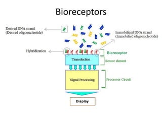 2.Power Point Biosensor Introduction.ppt