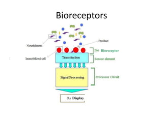 2.Power Point Biosensor Introduction.ppt