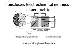 2.Power Point Biosensor Introduction.ppt
