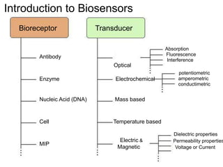 2.Power Point Biosensor Introduction.ppt