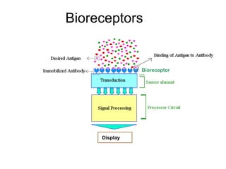 2.Power Point Biosensor Introduction.ppt