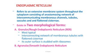 2. Cytology for embryology ms students of anatomy | PDF