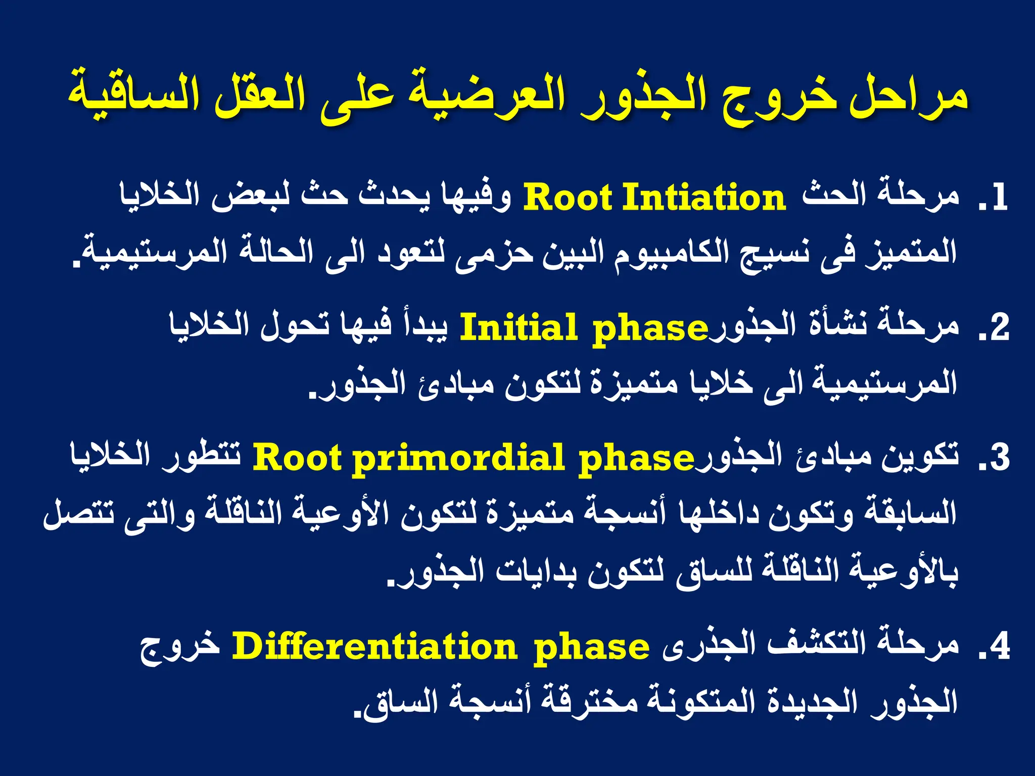 ‫انسالُح‬ ‫انؼمم‬ ً‫ػه‬ ‫انؼزضُح‬ ‫انجذور‬ ‫خزوج‬ ‫يزاحم‬
.1
‫الحث‬ ‫مرحلة‬
Root Intiation
‫الخالٌا‬ ‫لبعض‬ ‫حث‬ ‫ٌحدث‬ ‫وفٌها‬
‫المرستٌمٌة‬ ‫الحالة‬ ‫الى‬ ‫لتعود‬ ‫حزمى‬ ‫البٌن‬ ‫الكامبٌوم‬ ‫نسٌج‬ ‫فى‬ ‫المتمٌز‬
.
.2
‫الجذور‬ ‫نشأة‬ ‫مرحلة‬
Initial phase
‫الخالٌا‬ ‫تحول‬ ‫فٌها‬ ‫ٌبدأ‬
‫الجذور‬ ‫مبادئ‬ ‫لتكون‬ ‫متمٌزة‬ ‫خالٌا‬ ‫الى‬ ‫المرستٌمٌة‬
.
.3
‫الجذور‬ ‫مبادئ‬ ‫تكوٌن‬
Root primordial phase
‫الخالٌا‬ ‫تتطور‬
‫تتصل‬ ‫والتى‬ ‫الناقلة‬ ‫األوعٌة‬ ‫لتكون‬ ‫متمٌزة‬ ‫أنسجة‬ ‫داخلها‬ ‫وتكون‬ ‫السابقة‬
‫الجذور‬ ‫بداٌات‬ ‫لتكون‬ ‫للساق‬ ‫الناقلة‬ ‫باألوعٌة‬
.
.4
‫الجذرى‬ ‫التكشف‬ ‫مرحلة‬
Differentiation phase
‫خروج‬
‫الساق‬ ‫أنسجة‬ ‫مخترقة‬ ‫المتكونة‬ ‫الجدٌدة‬ ‫الجذور‬
.
 