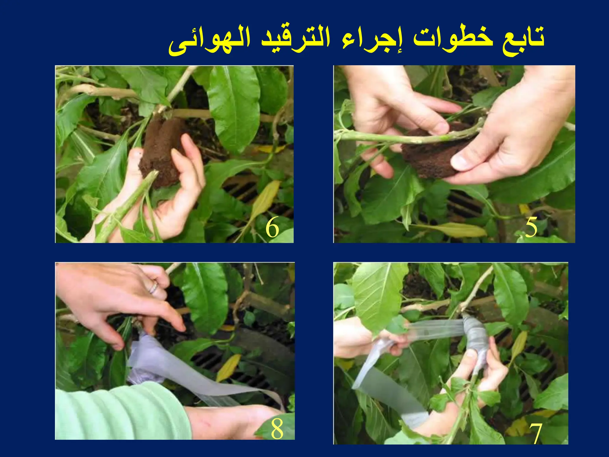 5
6
7
8
‫الهوابى‬ ‫الترقٌد‬ ‫إجراء‬ ‫خطوات‬ ‫تابع‬
 