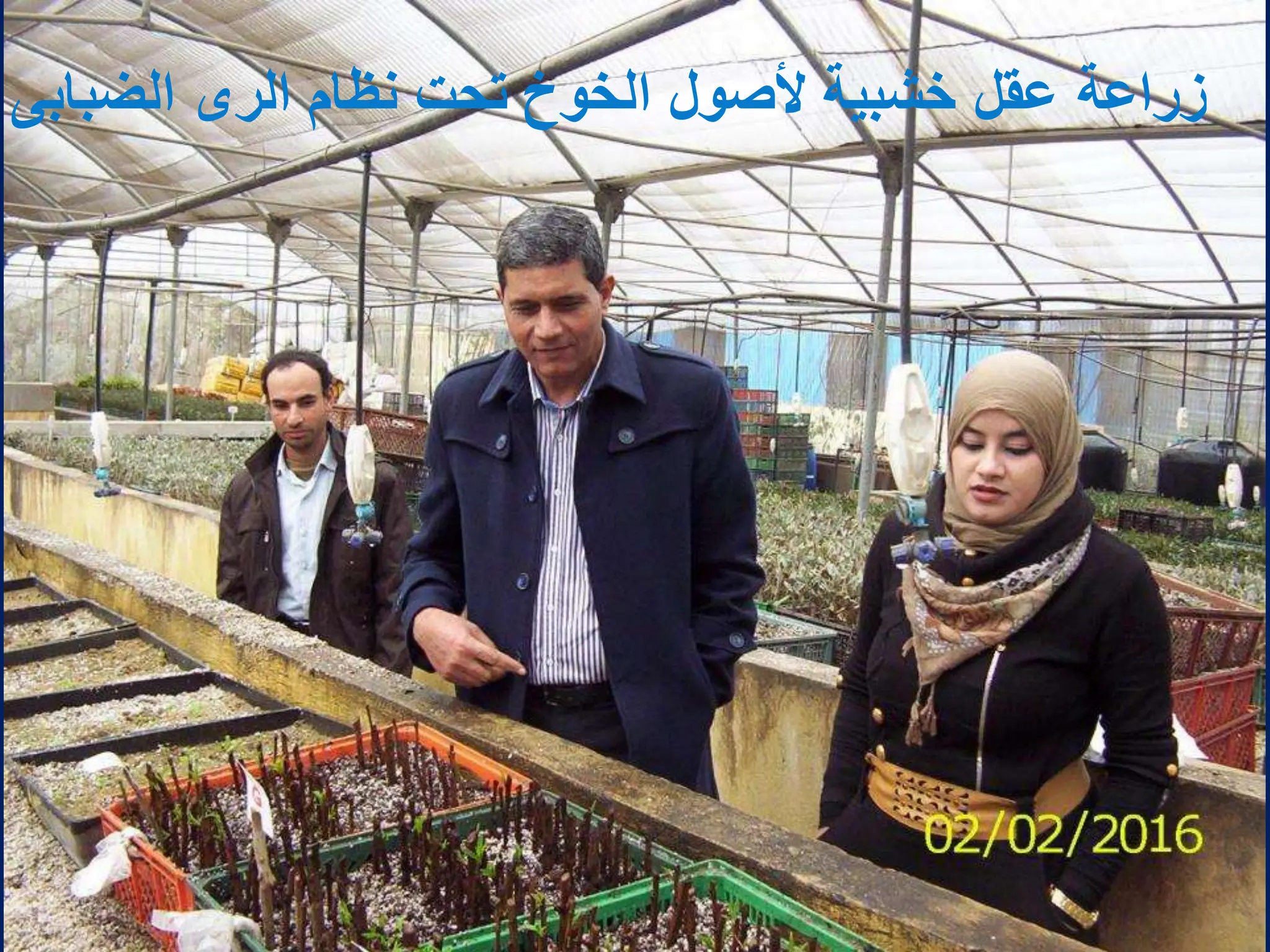 ‫الضبابى‬ ‫الرى‬ ‫نظام‬ ‫تحت‬ ‫الخوخ‬ ‫ألصول‬ ‫خشبٌة‬ ‫عقل‬ ‫زراعة‬
 