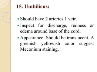 15. Umbilicus:
 Should have 2 arteries 1 vein.
 Inspect for discharge, redness or
edema around base of the cord.
 Appearance: Should be translucent. A
greenish yellowish color suggest
Meconium staining.
 