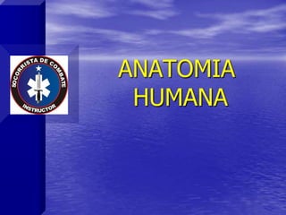 ANATOMIA
HUMANA
 