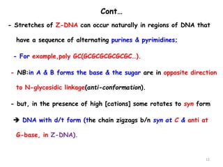 2.Chemistry of Nucleic Acids.pptx assignme | PPTX