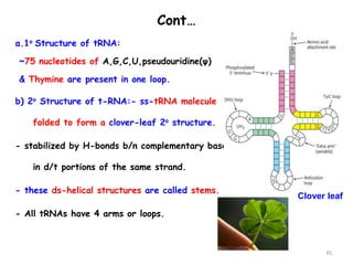 2.Chemistry of Nucleic Acids.pptx assignme | PPTX