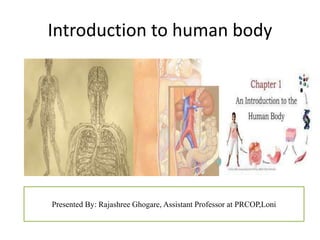Introduction to human body
Presented By: Rajashree Ghogare, Assistant Professor at PRCOP,Loni
 
