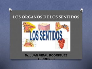 LOS ORGANOS DE LOS SENTIDOS
Dr. JUAN VIDAL RODRIGUEZ
TERRONES
 
