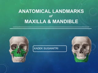 ANATOMICAL LANDMARKS
of
MAXILLA & MANDIBLE
KADEK SUGIANITRI
 