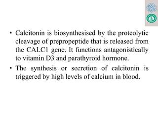 PTH & Calcitonin for MBBS, BDS, Lab. Med..pptx