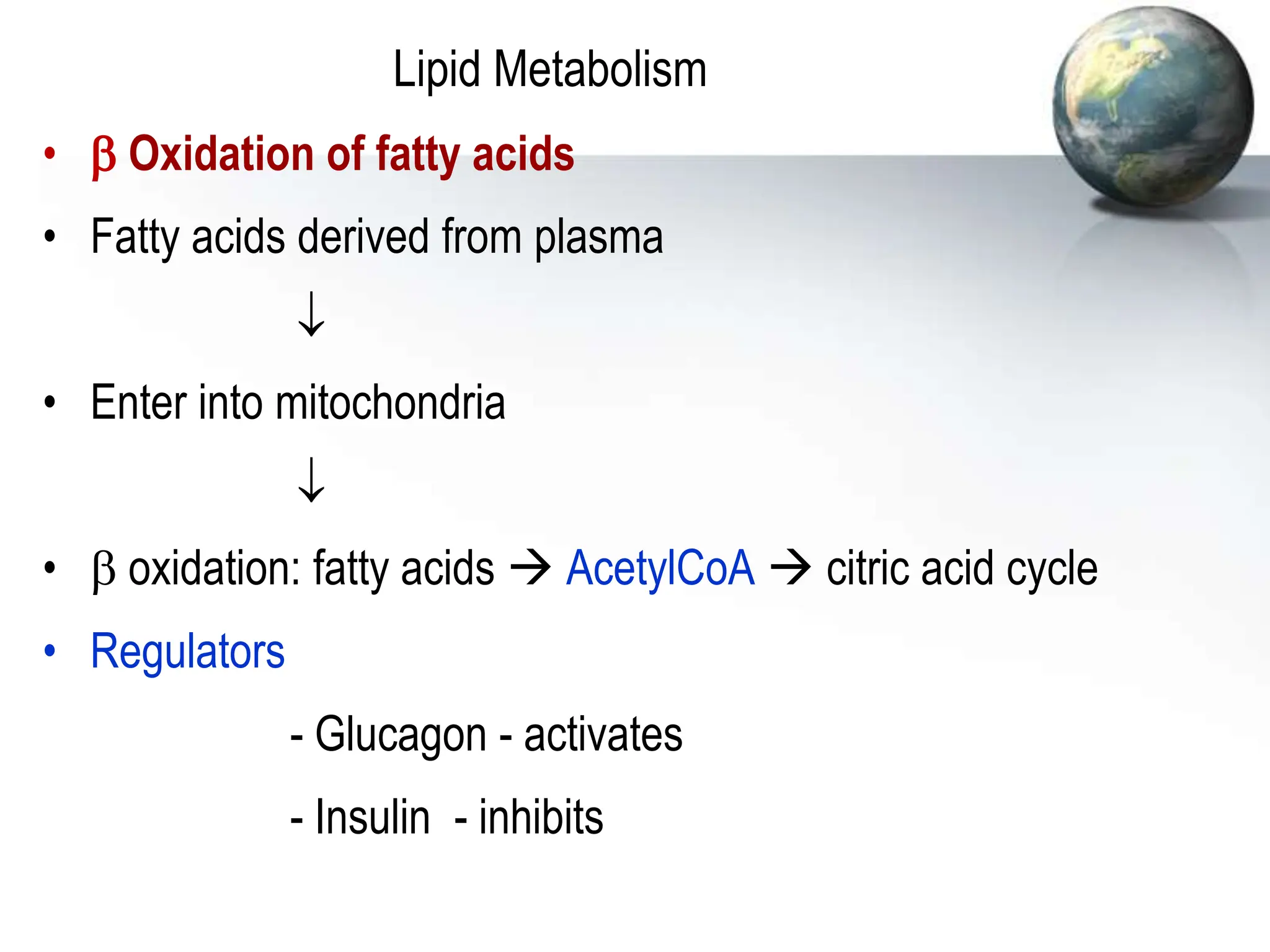 Lipid Metabolism
•  Oxidation of fatty acids
• Fatty acids derived from plasma

• Enter into mitochondria

•  oxidation: fatty acids  AcetylCoA  citric acid cycle
• Regulators
- Glucagon - activates
- Insulin - inhibits
 