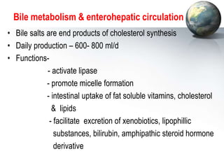 Bile metabolism & enterohepatic circulation
• Bile salts are end products of cholesterol synthesis
• Daily production – 600- 800 ml/d
• Functions-
- activate lipase
- promote micelle formation
- intestinal uptake of fat soluble vitamins, cholesterol
& lipids
- facilitate excretion of xenobiotics, lipophillic
substances, bilirubin, amphipathic steroid hormone
derivative
 