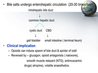 • Bile salts undergo enterohepatic circulation (20-30 times/day)
intrahepatic bile duct
↓
common hepatic duct
cystic duct CBD
↓ ↓
gall bladder small intestine ( terminal ileum)
• Clinical implication
– Opioids can induce spasm of bile duct & spinter of oddi
– Reversed by – glucagon, opioid antagonists ( naloxone),
smooth muscle relaxant (NTG), antimuscarinic
drugs( atropine), volatile anaesthetics.
 