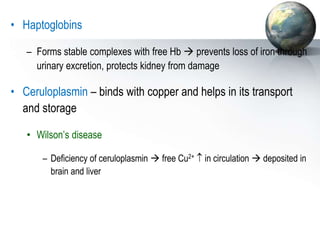• Haptoglobins
– Forms stable complexes with free Hb  prevents loss of iron through
urinary excretion, protects kidney from damage
• Ceruloplasmin – binds with copper and helps in its transport
and storage
• Wilson’s disease
– Deficiency of ceruloplasmin  free Cu2+  in circulation  deposited in
brain and liver
 