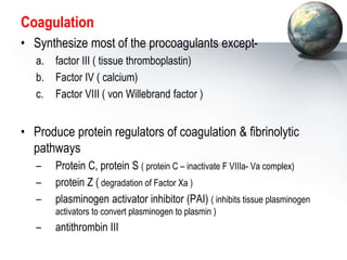 Coagulation
• Synthesize most of the procoagulants except-
a. factor III ( tissue thromboplastin)
b. Factor IV ( calcium)
c. Factor VIII ( von Willebrand factor )
• Produce protein regulators of coagulation & fibrinolytic
pathways
– Protein C, protein S ( protein C – inactivate F VIIIa- Va complex)
– protein Z ( degradation of Factor Xa )
– plasminogen activator inhibitor (PAI) ( inhibits tissue plasminogen
activators to convert plasminogen to plasmin )
– antithrombin III
 