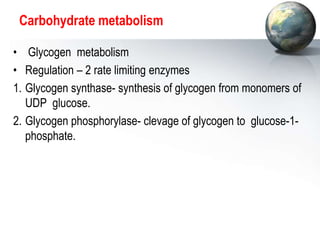 Carbohydrate metabolism
• Glycogen metabolism
• Regulation – 2 rate limiting enzymes
1. Glycogen synthase- synthesis of glycogen from monomers of
UDP glucose.
2. Glycogen phosphorylase- clevage of glycogen to glucose-1-
phosphate.
 