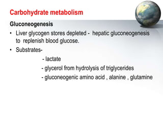 Carbohydrate metabolism
Gluconeogenesis
• Liver glycogen stores depleted - hepatic gluconeogenesis
to replenish blood glucose.
• Substrates-
- lactate
- glycerol from hydrolysis of triglycerides
- gluconeogenic amino acid , alanine , glutamine
 