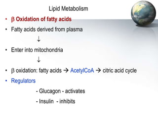 Lipid Metabolism
•  Oxidation of fatty acids
• Fatty acids derived from plasma

• Enter into mitochondria

•  oxidation: fatty acids  AcetylCoA  citric acid cycle
• Regulators
- Glucagon - activates
- Insulin - inhibits
 