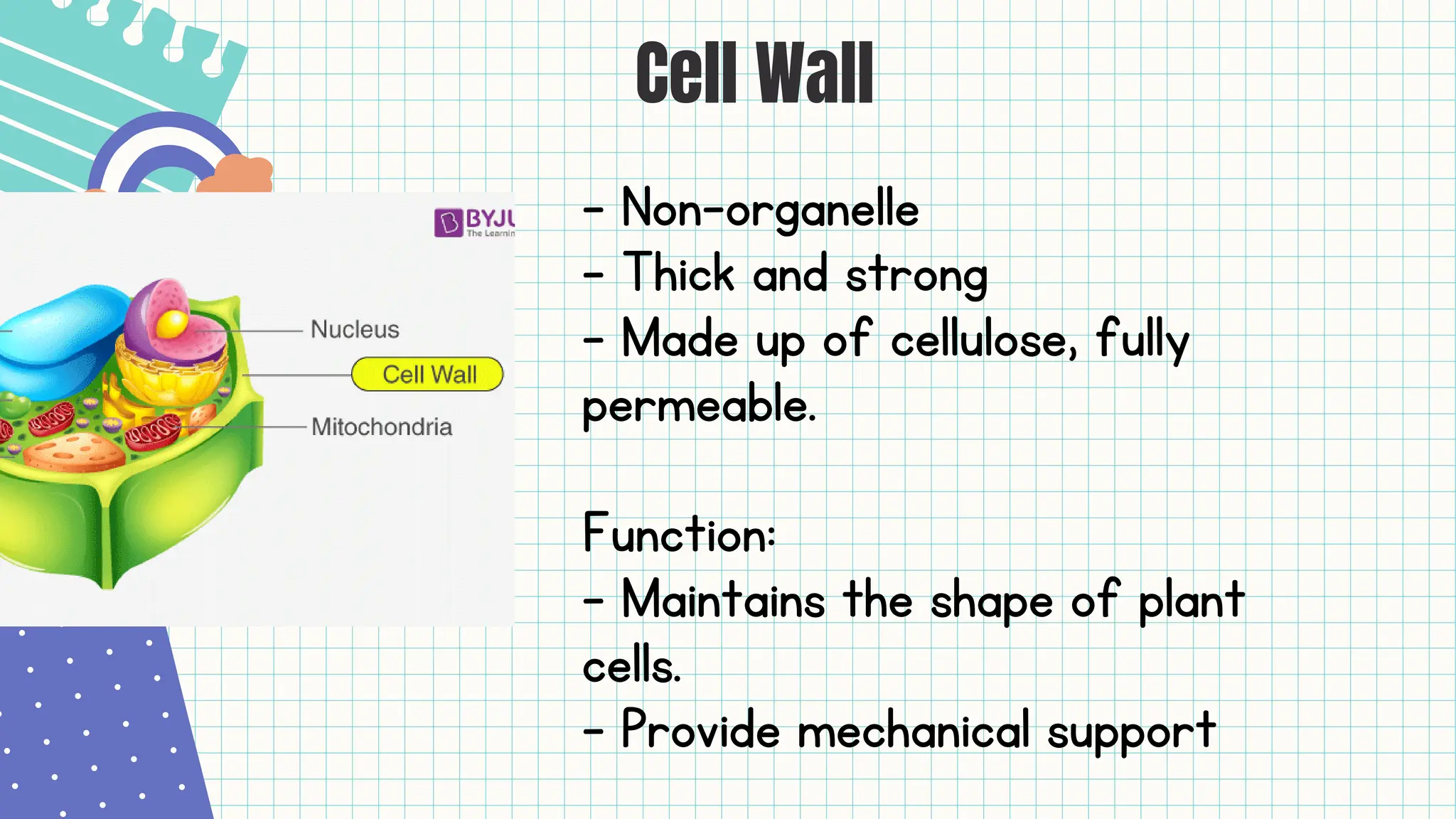 Support Function Cell 2.1 Cell Structure And Function Biology Form 4 | PDF