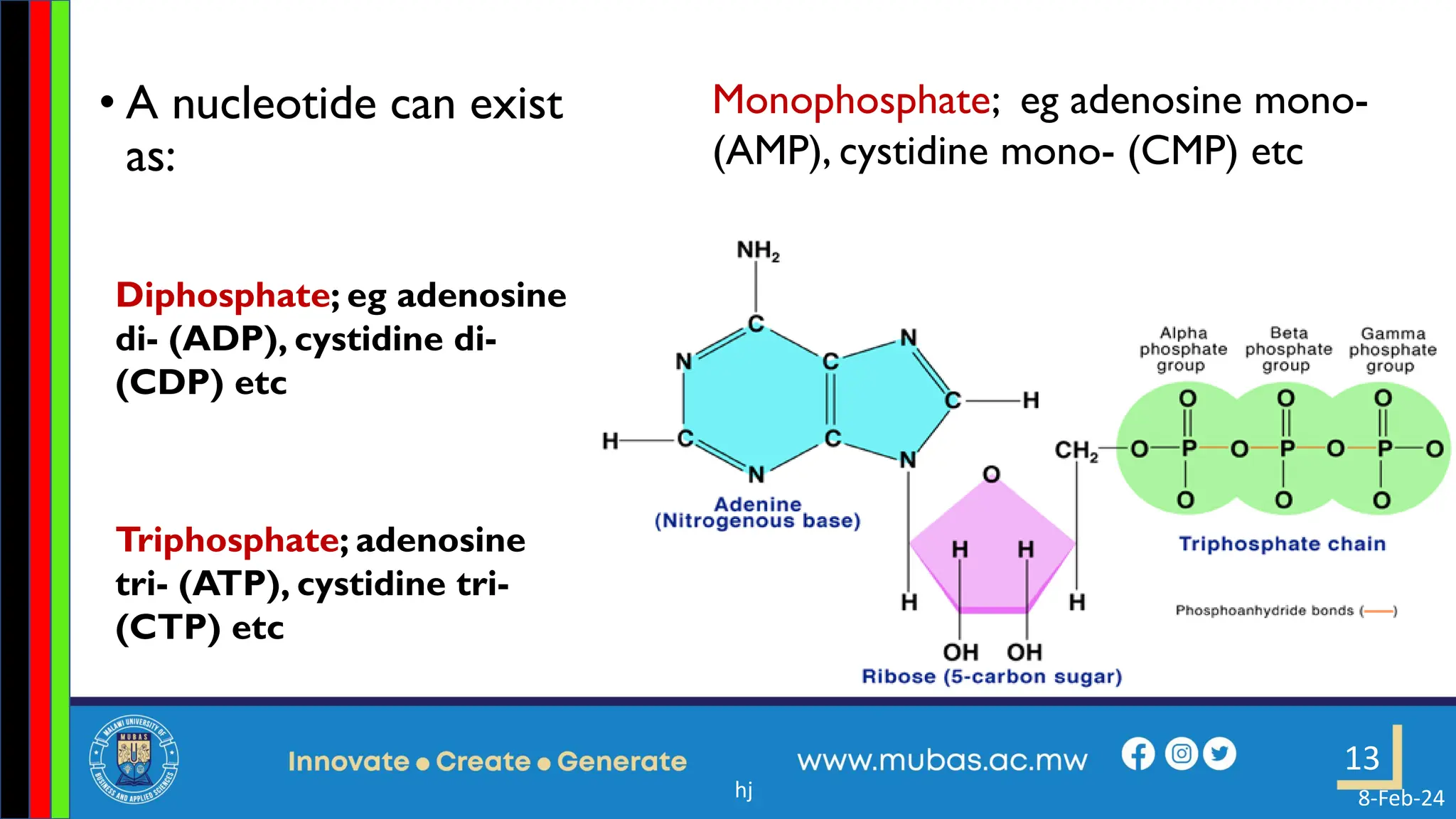 2. DNA Structure and Replication ppt.pdf