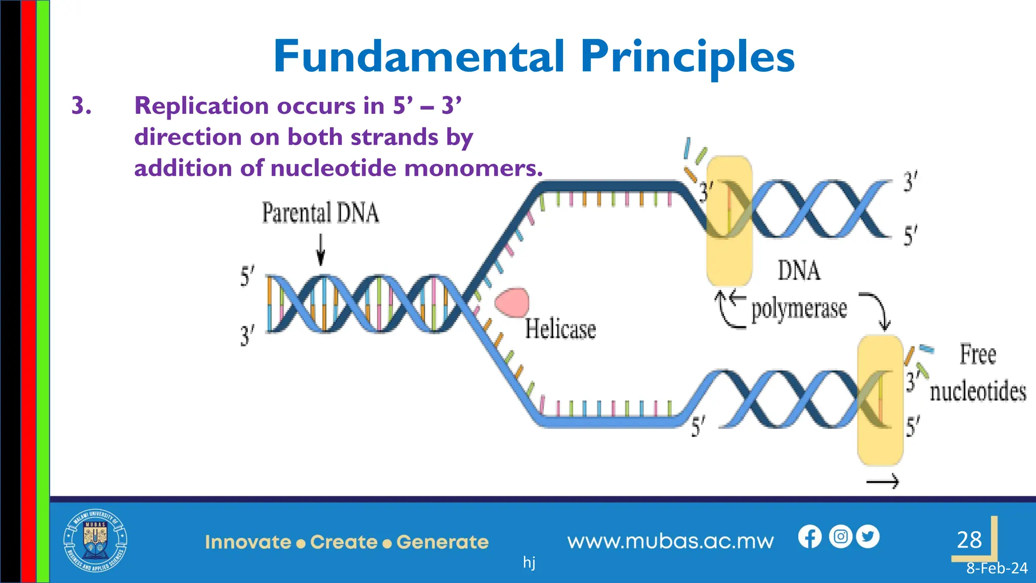 Nucleotide Direction Practic 2. DNA Structure and Replication ppt.pdf