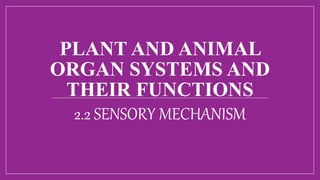PLANT AND ANIMAL
ORGAN SYSTEMS AND
THEIR FUNCTIONS
2.2 SENSORY MECHANISM
 