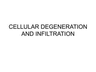 CELLULAR DEGENERATION
AND INFILTRATION
 