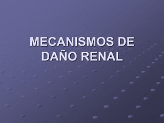 MECANISMOS DE
DAÑO RENAL
 