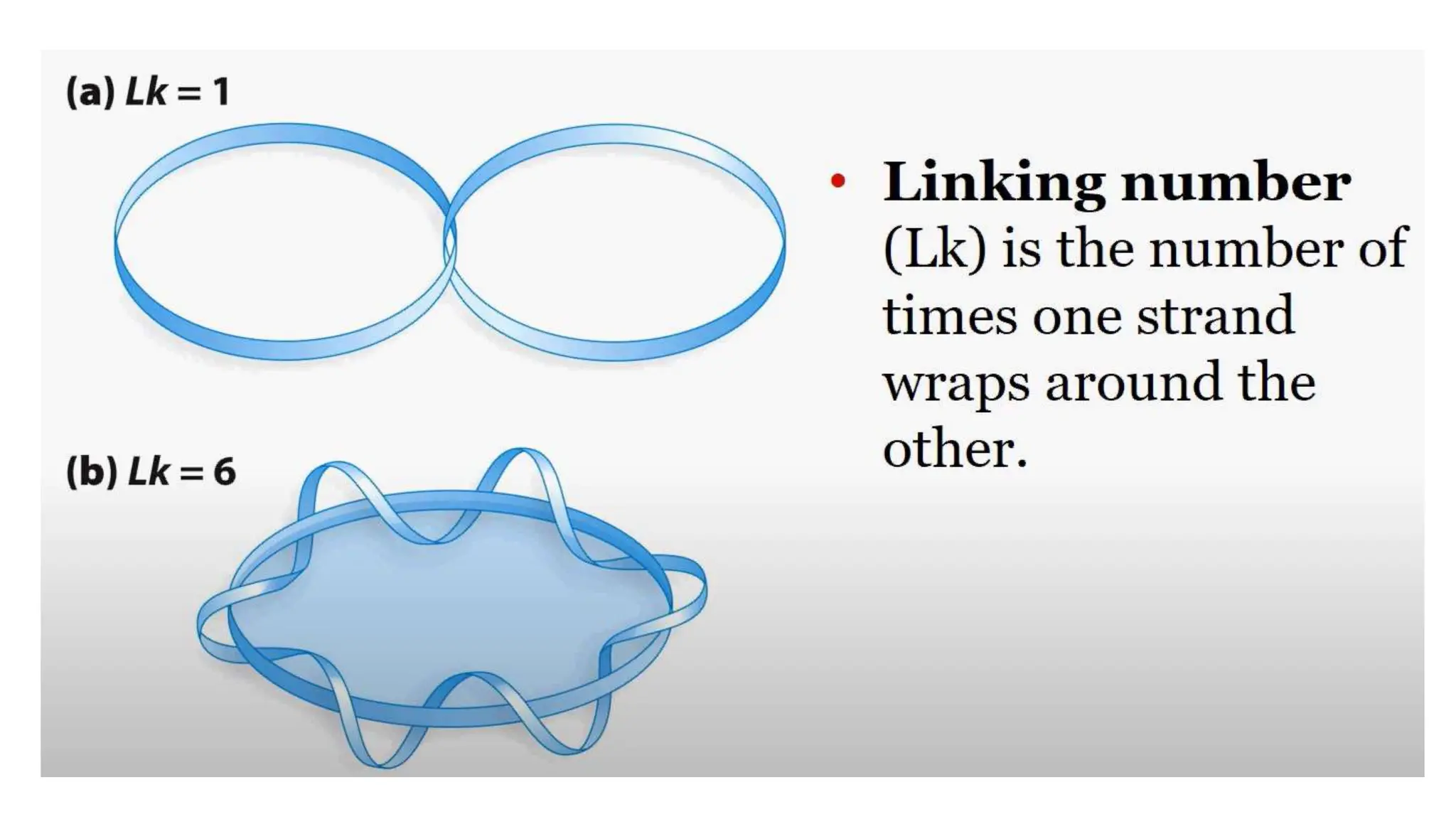 2. Structure of DNA, Watson & Crick Model.pptx