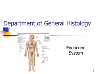 1
Department of General Histology
Endocrine
System
 