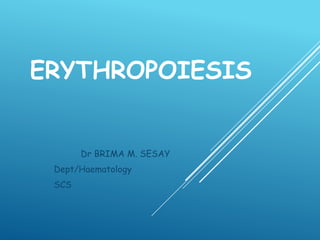 ERYTHROPOIESIS
Dr BRIMA M. SESAY
Dept/Haematology
SCS
 