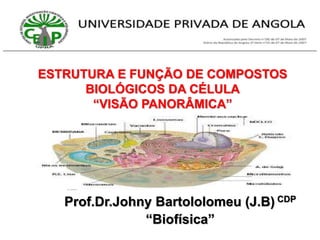 ESTRUTURA E FUNÇÃO DE COMPOSTOS
BIOLÓGICOS DA CÉLULA
“VISÃO PANORÂMICA”
Prof.Dr.Johny Bartololomeu (J.B) CDP
“Biofísica”
 