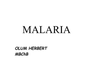 MALARIA
OLUM HERBERT
MBChB
 