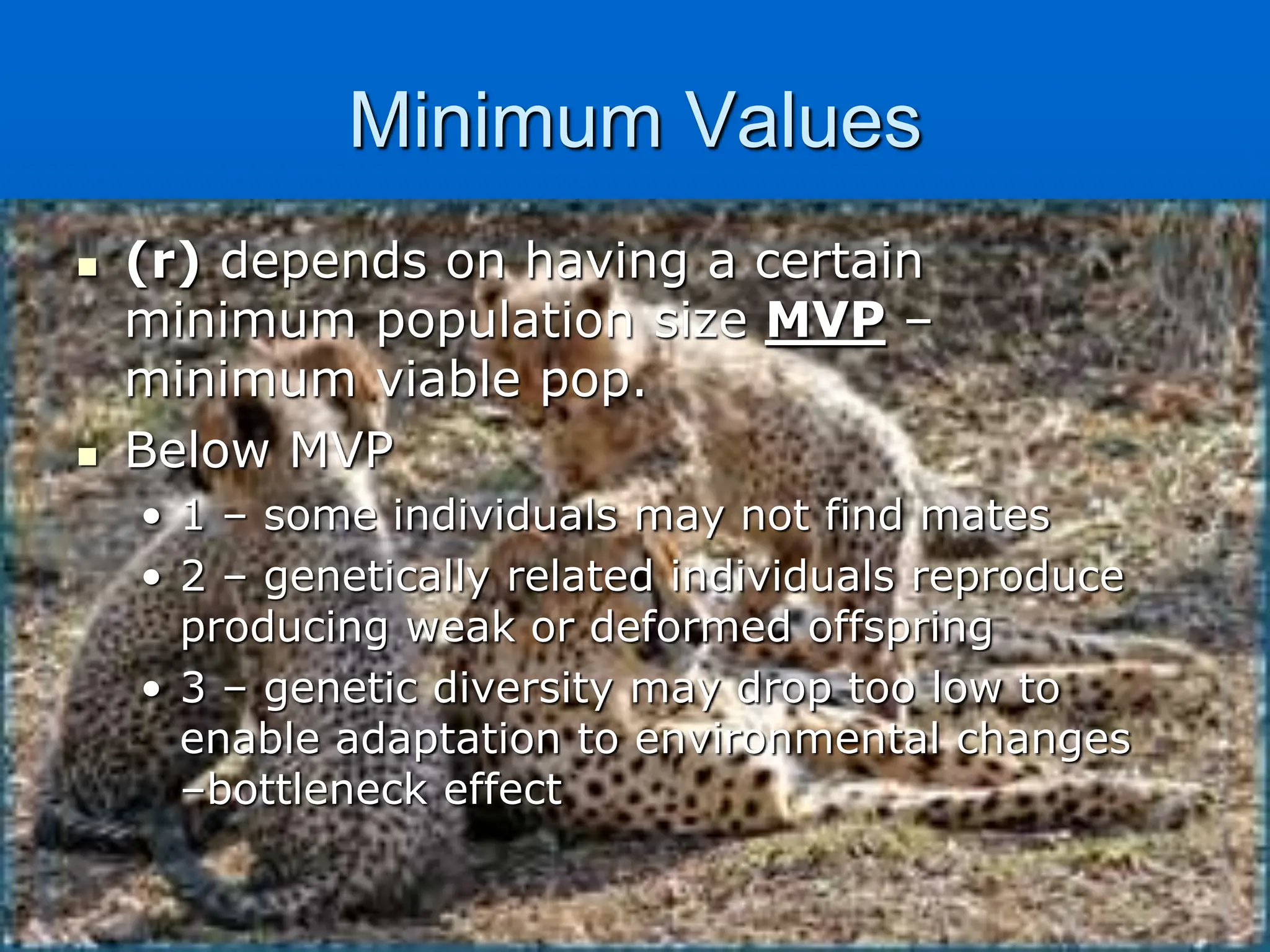 Minimum Values
 (r) depends on having a certain
minimum population size MVP –
minimum viable pop.
 Below MVP
• 1 – some individuals may not find mates
• 2 – genetically related individuals reproduce
producing weak or deformed offspring
• 3 – genetic diversity may drop too low to
enable adaptation to environmental changes
–bottleneck effect
 