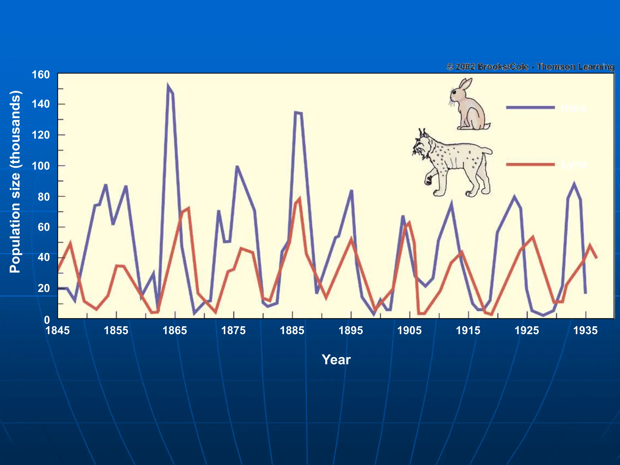 Population
size
(thousands)
160
140
120
100
80
60
40
20
0
1845 1855 1865 1875 1885 1895 1905 1915 1925 1935
Year
Hare
Lynx
 