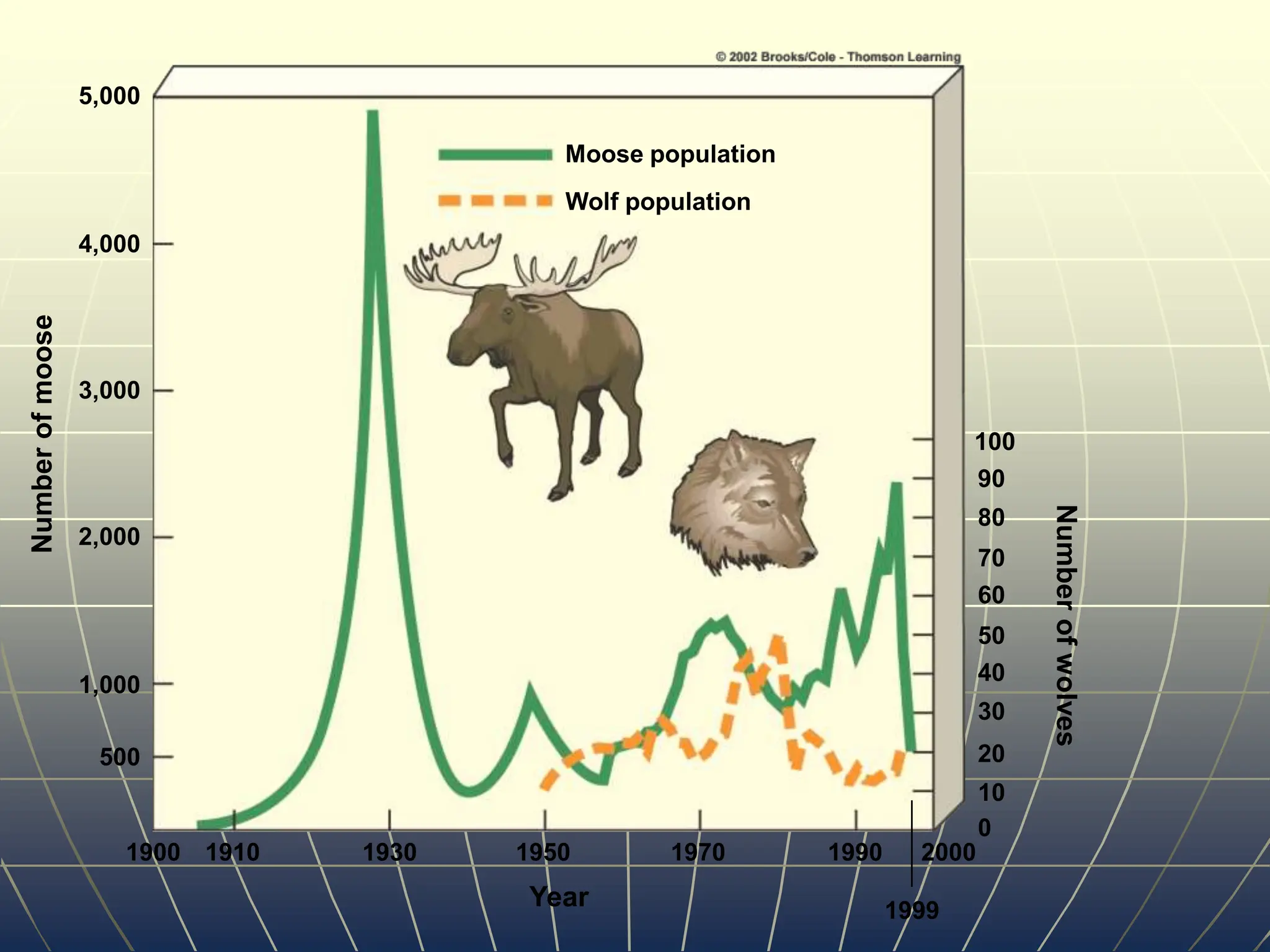 5,000
4,000
3,000
2,000
1,000
500
Number
of
moose
100
90
80
70
60
50
40
30
20
10
0
1900 1910 1930 1950 1970 1990 2000
1999
Year
Number
of
wolves
Moose population
Wolf population
 