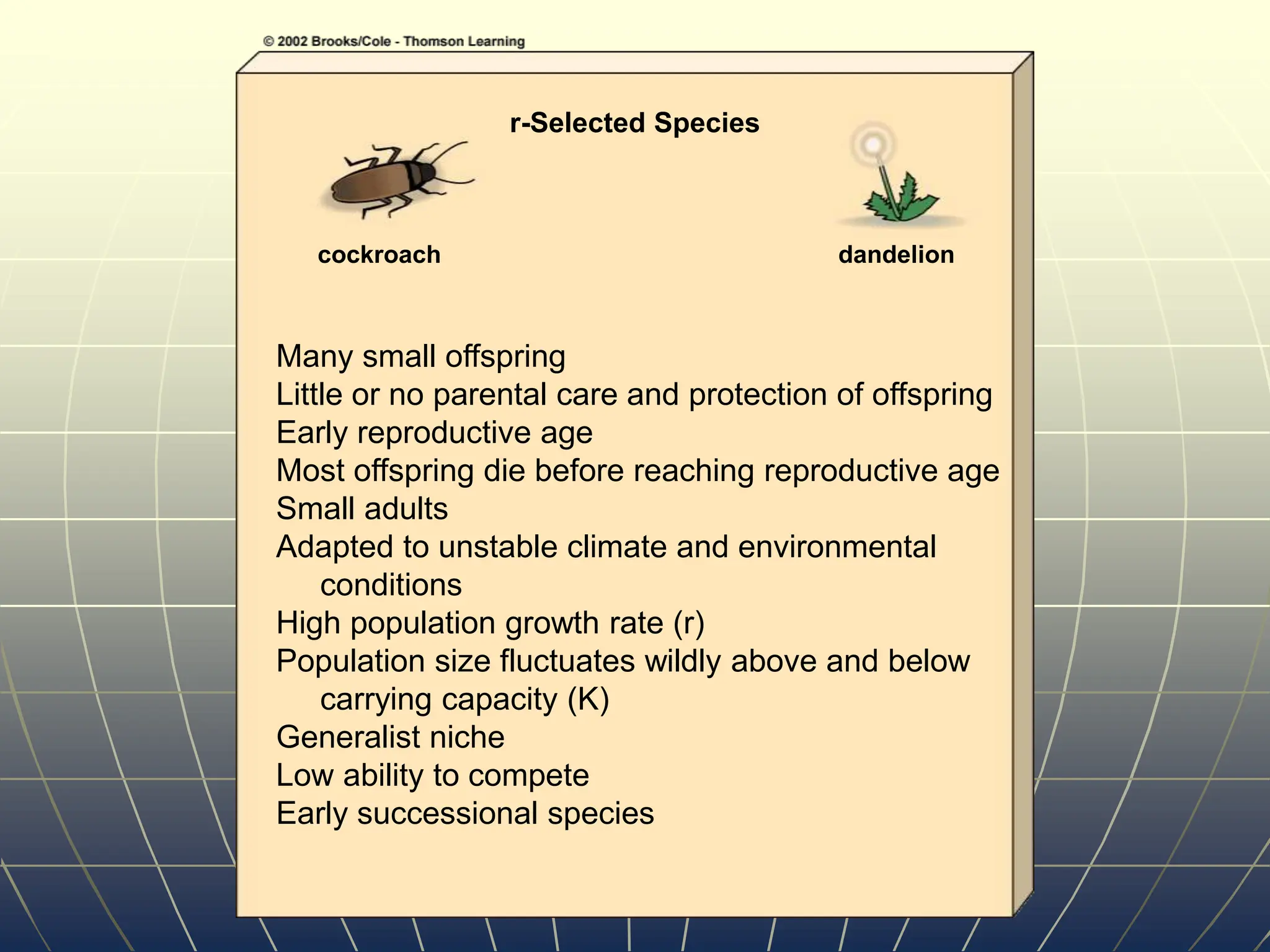 r-Selected Species
cockroach dandelion
Many small offspring
Little or no parental care and protection of offspring
Early reproductive age
Most offspring die before reaching reproductive age
Small adults
Adapted to unstable climate and environmental
conditions
High population growth rate (r)
Population size fluctuates wildly above and below
carrying capacity (K)
Generalist niche
Low ability to compete
Early successional species
 