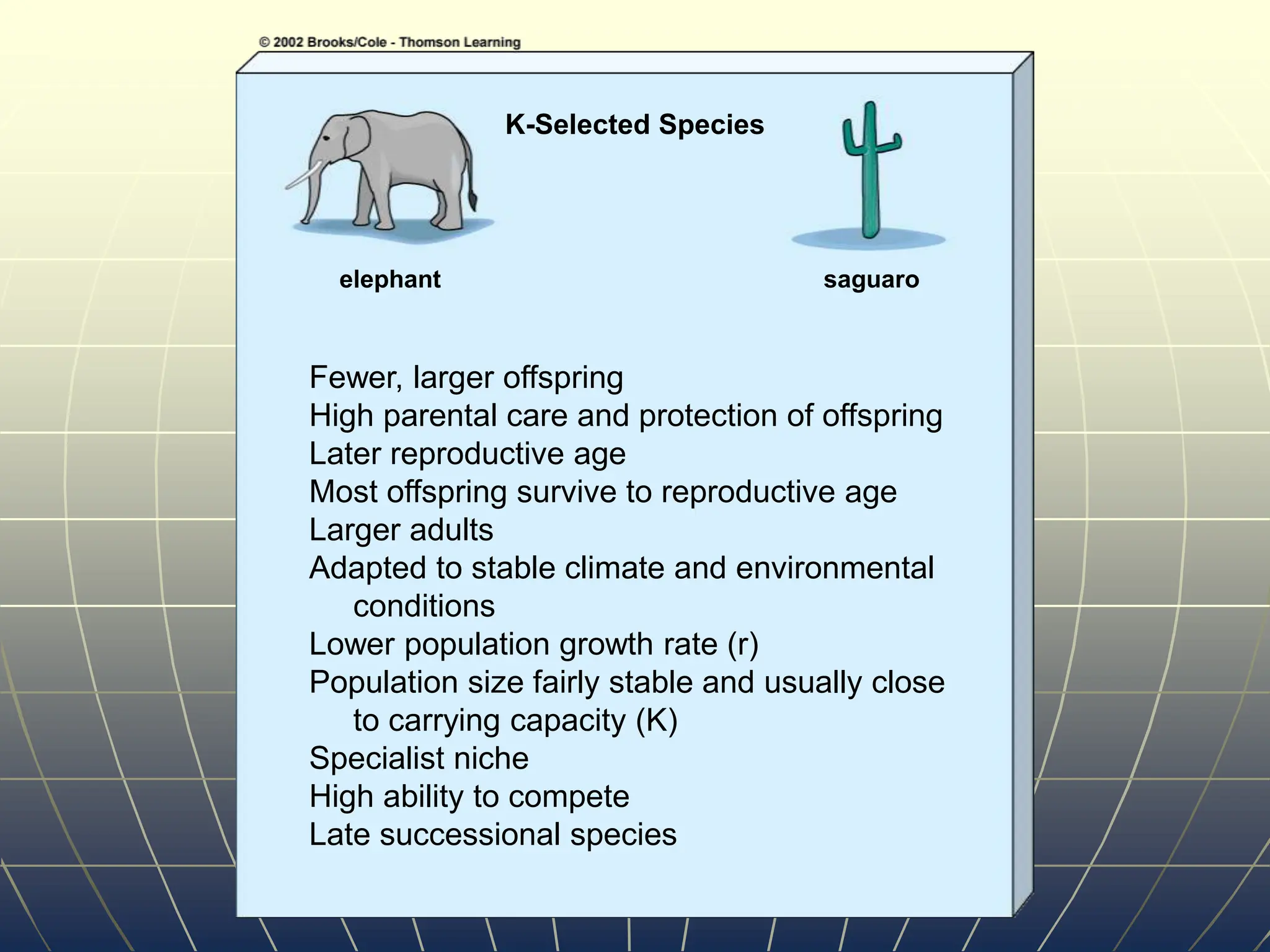 Fewer, larger offspring
High parental care and protection of offspring
Later reproductive age
Most offspring survive to reproductive age
Larger adults
Adapted to stable climate and environmental
conditions
Lower population growth rate (r)
Population size fairly stable and usually close
to carrying capacity (K)
Specialist niche
High ability to compete
Late successional species
elephant saguaro
K-Selected Species
 