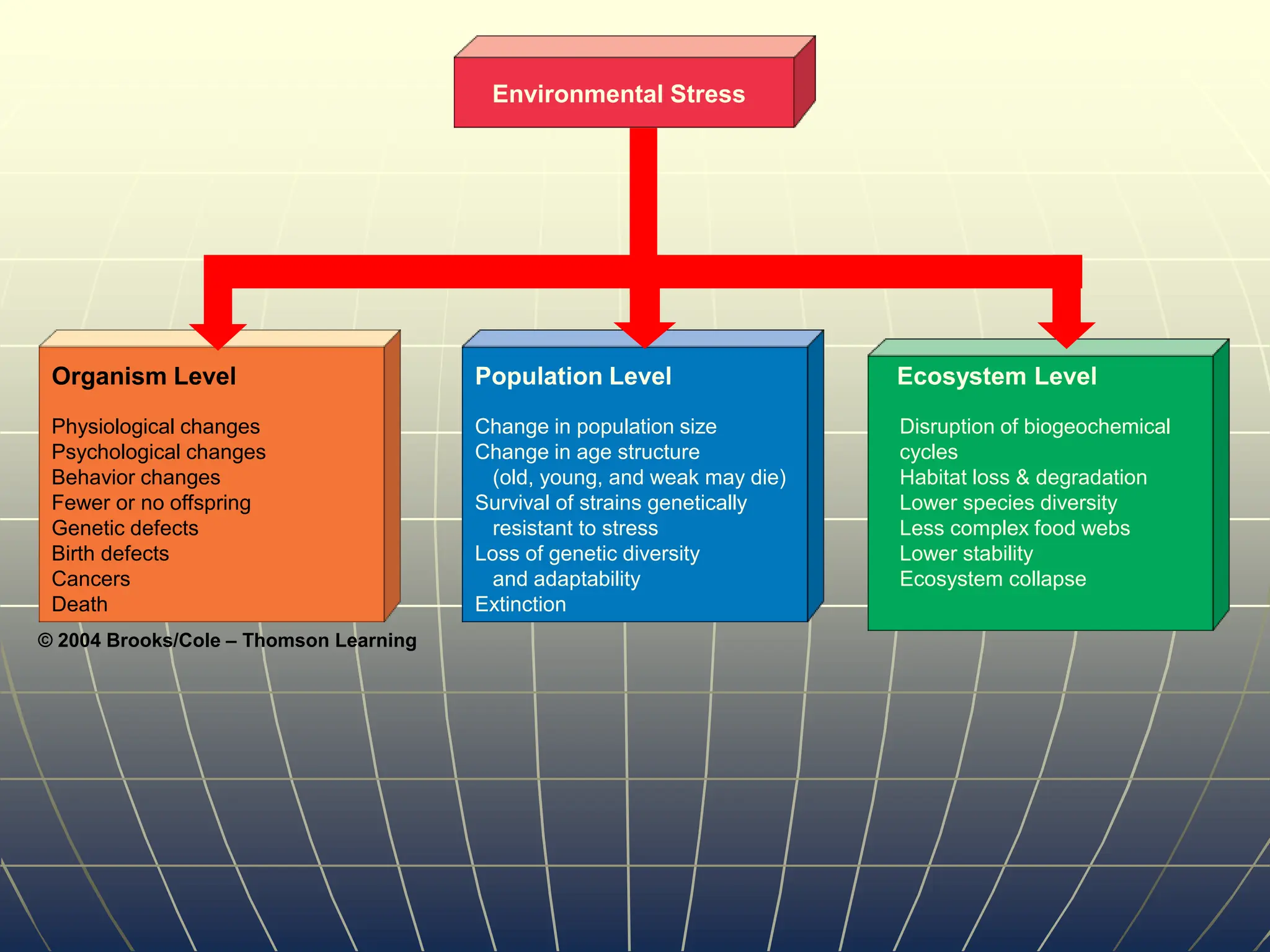 Disruption of energy flow through
food chains and webs
Disruption of biogeochemical
cycles
Lower species diversity
Habitat loss or degradation
Less complex food webs
Lower stability
Ecosystem collapse
© 2004 Brooks/Cole – Thomson Learning
Physiological changes
Psychological changes
Behavior changes
Fewer or no offspring
Genetic defects
Birth defects
Cancers
Death
Organism Level
Change in population size
Change in age structure
(old, young, and weak may die)
Survival of strains genetically
resistant to stress
Loss of genetic diversity
and adaptability
Extinction
Population Level Ecosystem Level
Environmental Stress
Disruption of biogeochemical
cycles
Habitat loss & degradation
Lower species diversity
Less complex food webs
Lower stability
Ecosystem collapse
 