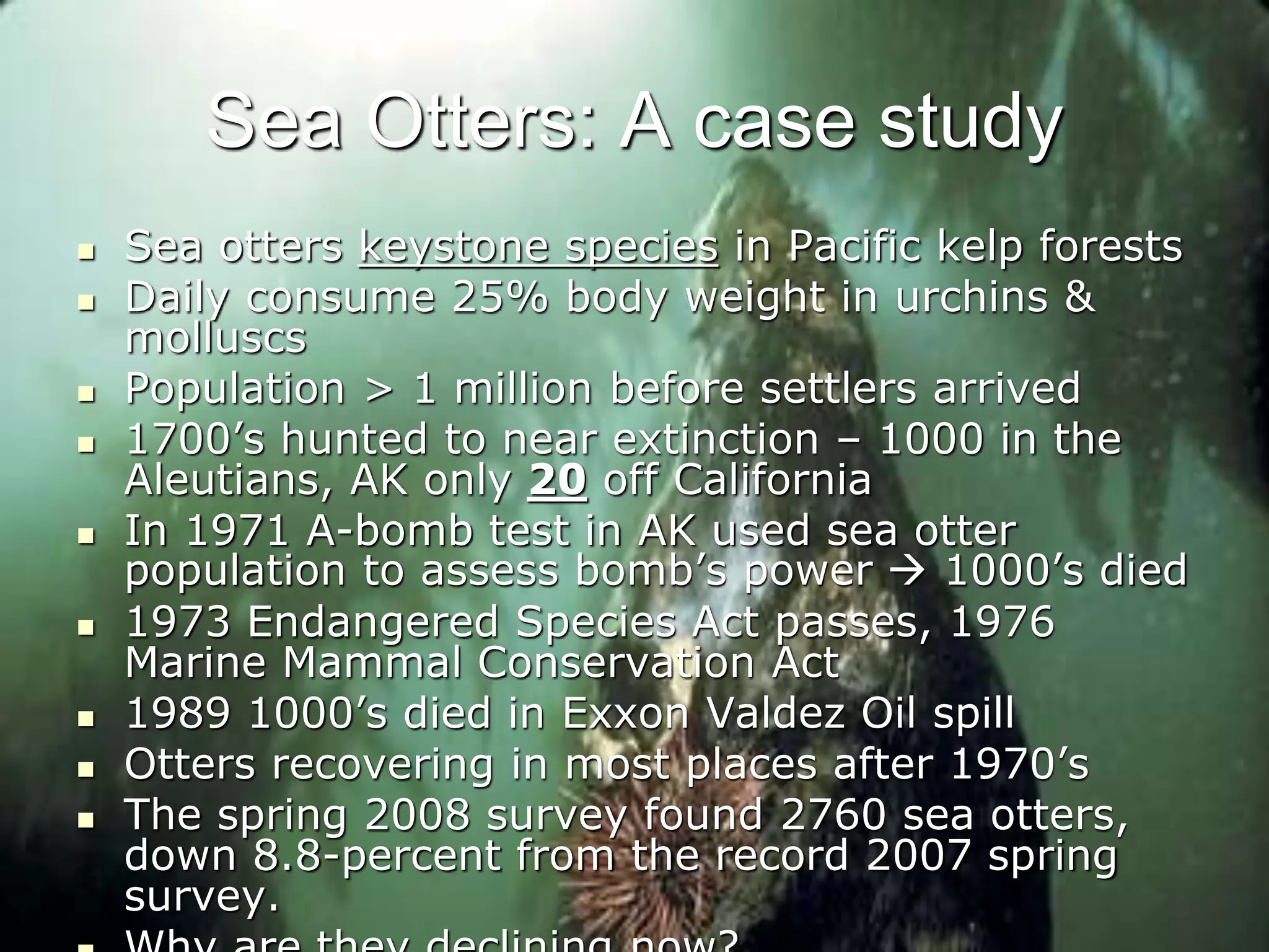 Sea Otters: A case study
 Sea otters keystone species in Pacific kelp forests
 Daily consume 25% body weight in urchins &
molluscs
 Population > 1 million before settlers arrived
 1700’s hunted to near extinction – 1000 in the
Aleutians, AK only 20 off California
 In 1971 A-bomb test in AK used sea otter
population to assess bomb’s power  1000’s died
 1973 Endangered Species Act passes, 1976
Marine Mammal Conservation Act
 1989 1000’s died in Exxon Valdez Oil spill
 Otters recovering in most places after 1970’s
 The spring 2008 survey found 2760 sea otters,
down 8.8-percent from the record 2007 spring
survey.
 