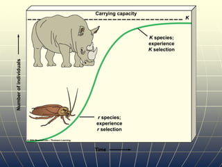 Number
of
individuals
Time
Carrying capacity
K species;
experience
K selection
r species;
experience
r selection
K
 