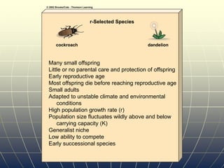 r-Selected Species
cockroach dandelion
Many small offspring
Little or no parental care and protection of offspring
Early reproductive age
Most offspring die before reaching reproductive age
Small adults
Adapted to unstable climate and environmental
conditions
High population growth rate (r)
Population size fluctuates wildly above and below
carrying capacity (K)
Generalist niche
Low ability to compete
Early successional species
 