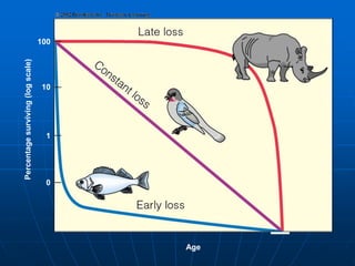 Percentage
surviving
(log
scale)
100
10
1
0
Age
 