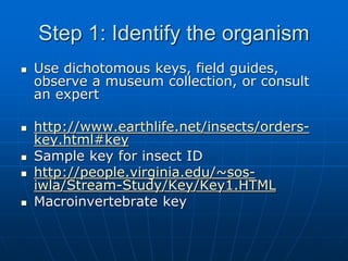 Step 1: Identify the organism
 Use dichotomous keys, field guides,
observe a museum collection, or consult
an expert
 http://www.earthlife.net/insects/orders-
key.html#key
 Sample key for insect ID
 http://people.virginia.edu/~sos-
iwla/Stream-Study/Key/Key1.HTML
 Macroinvertebrate key
 