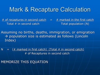 Mark & Recapture Calculation
# of recaptures in second catch = # marked in the first catch
Total # in second catch Total population (N)
Assuming no births, deaths, immigration, or emigration
 population size is estimated as follows (Lincoln
Index)
N = (# marked in first catch) (Total # in second catch)
# of Recaptures in second catch
MEMORIZE THIS EQUATION
 